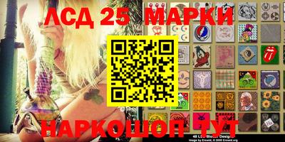 прущие грибы Новозыбков