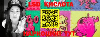 прущие грибы Новозыбков