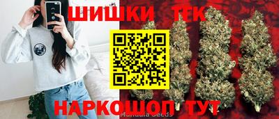 прущие грибы Новозыбков