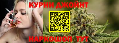 прущие грибы Новозыбков