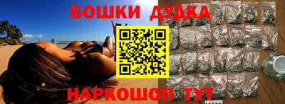 прущие грибы Новозыбков