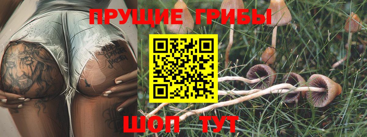 даркнет сайт  Псилоцибиновые грибы Psilocybe  Химки  Вход с VPN  Псилоцибиновые грибы MAGIC MUSHROOMS 
